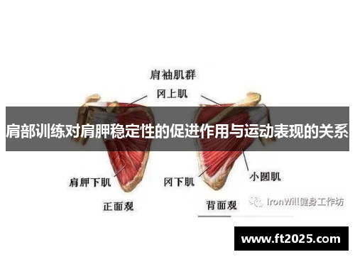 肩部训练对肩胛稳定性的促进作用与运动表现的关系